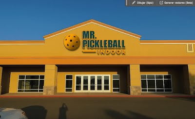 MR.PICKLEBALL INDOOR