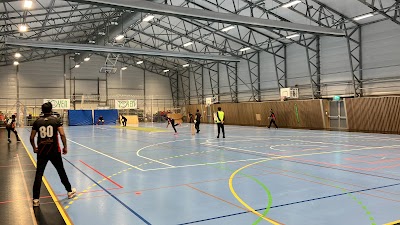 Tøyen Sportsklubb