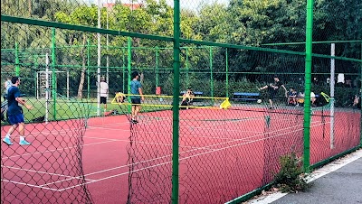 Mini Pickleball Court