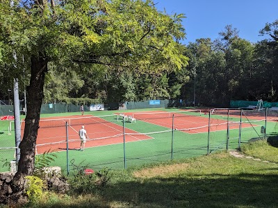 Tennis Wien - TCV 2013