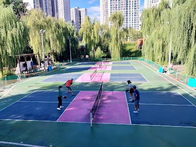 Gangdong pickleball