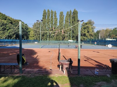 Városmajori Tennis Club