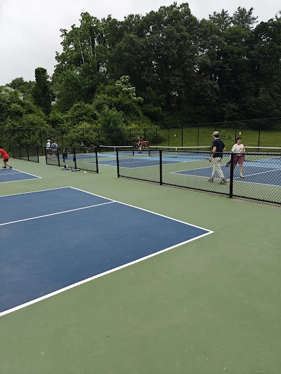 Buena Vista Pickleball Courts