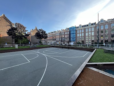 Basketball court