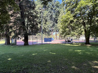 Tennis and Pickleball Courts